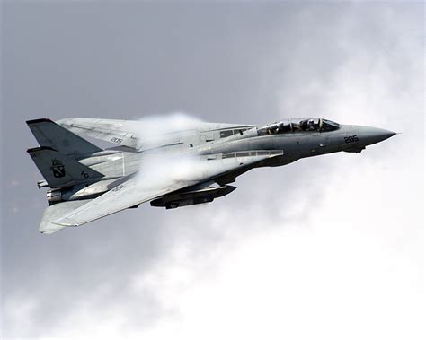 F-14 Tomcat in flight